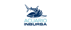 Logo El descuento más top para esta experiencia