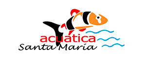 Logo Date un clavado en esta promo